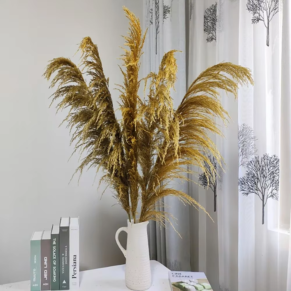 Grande herbe de Pampas naturelle de 80cm