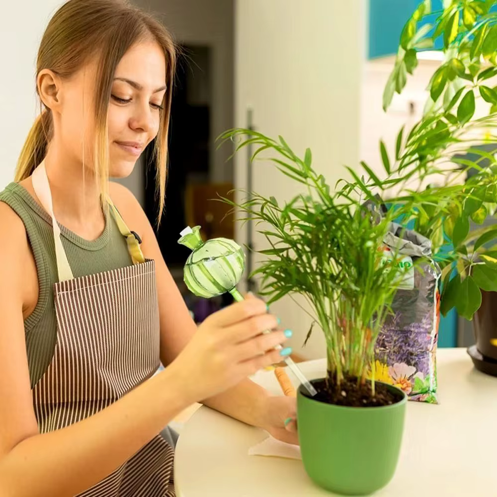 Planteur d'arrosage automatique en verre