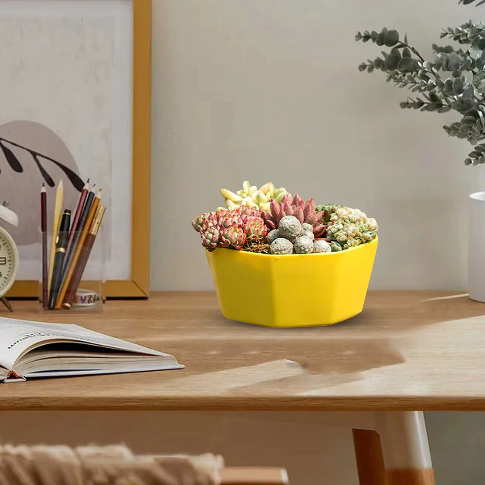 Pots de fleurs d'intérieur en plastique