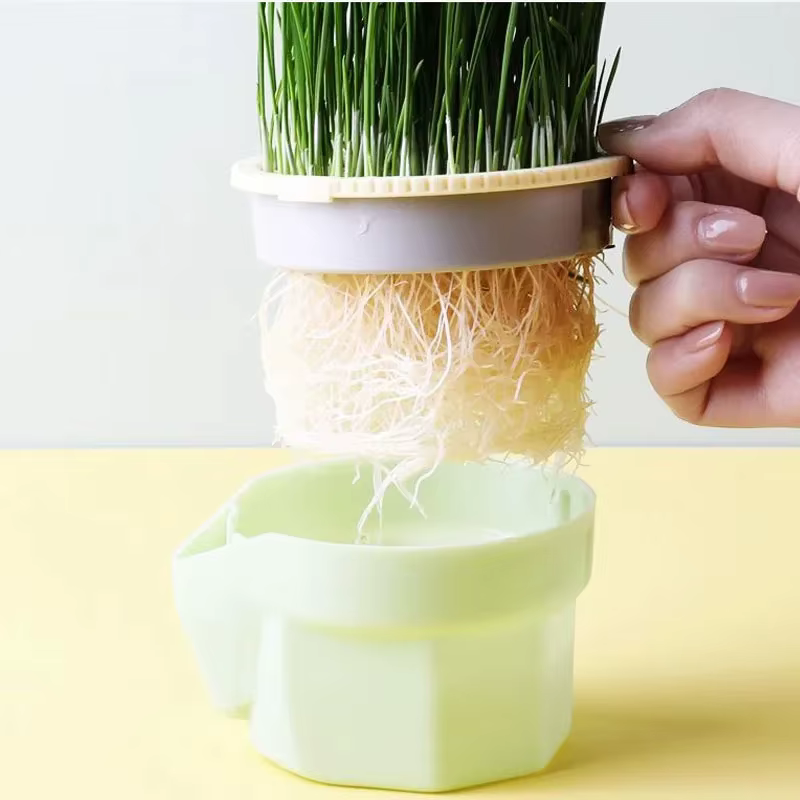 Nouveau plat de germe de chat pour animaux de compagnie Pot de culture plante hydroponique