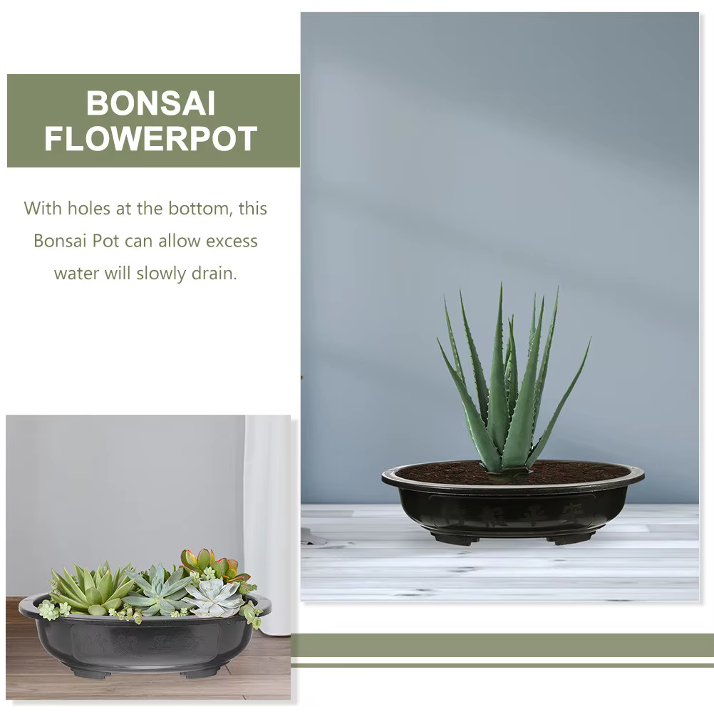 Lot de 2 grands pots ovales pour fleurs et bonsaïs