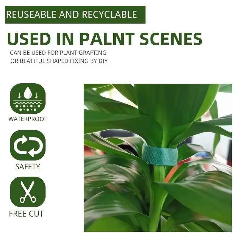 Attaches Réutilisables pour Plantes
