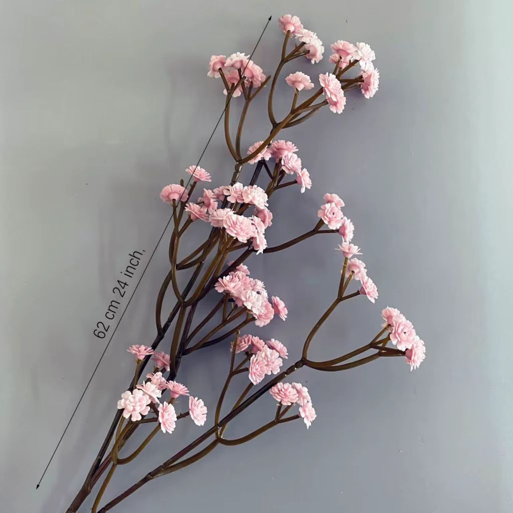 Fleur séchée Gypsophila de 62 cm de haute qualité