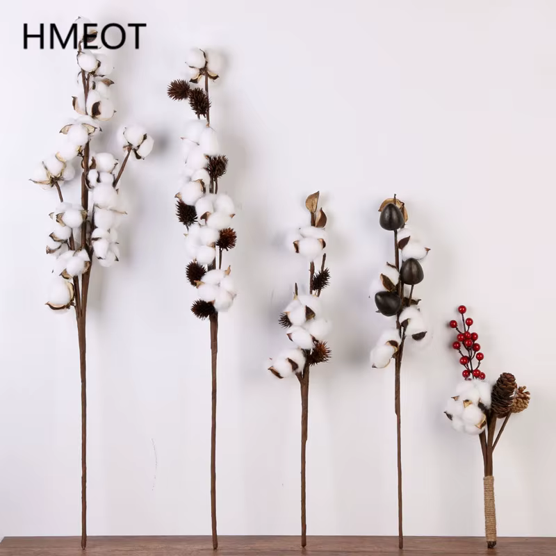 Fleurs de coton séchées naturellement
