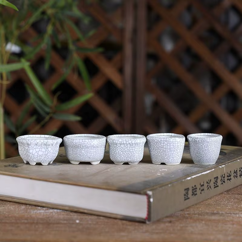 8 pièces de mini-pots de fleurs en céramique