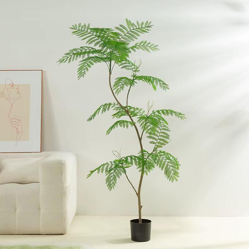 Simulation de plante verte Jacaranda