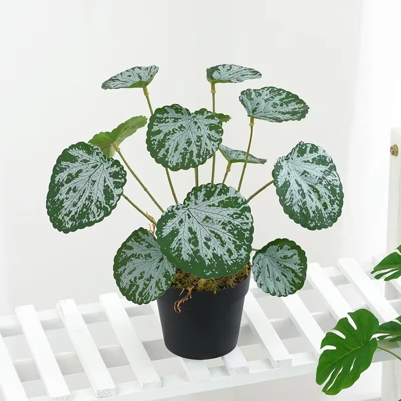 Plantes Vertes Artificielles