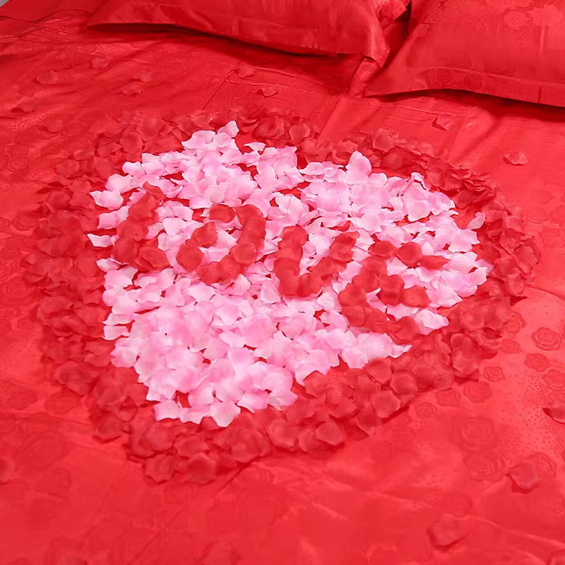 2000 pièces de pétales de Roses en soie