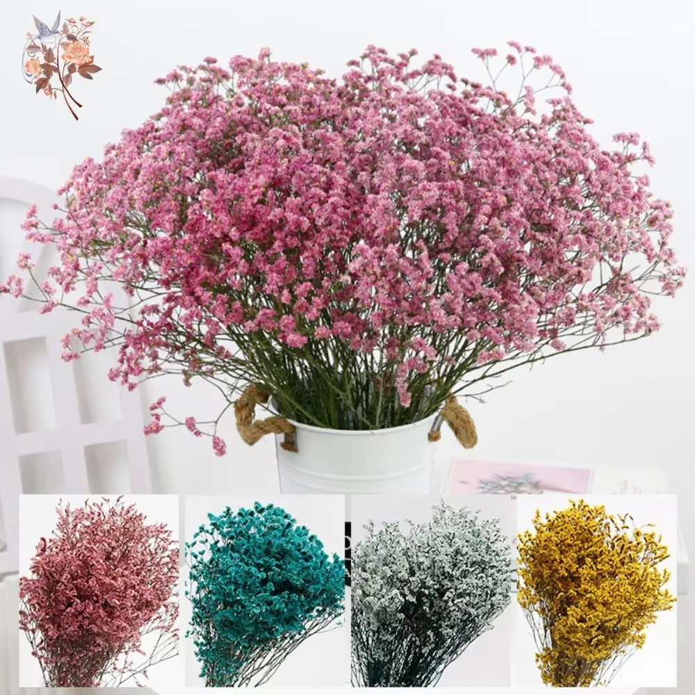 Bouquet de fleurs séchées colorées en herbe de cristal préservée naturelle