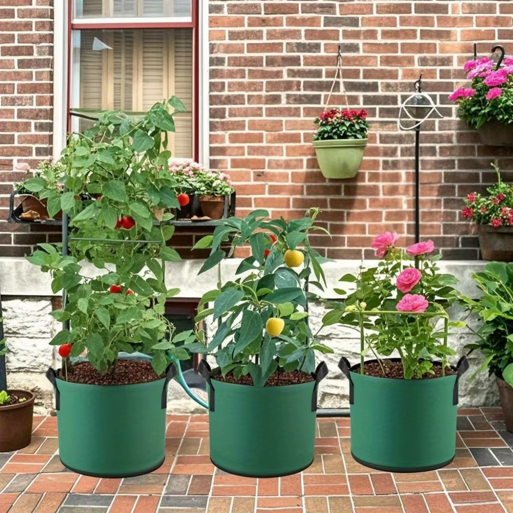 Sacs de culture en feutre vert 3/5/7 gallons pour plantes