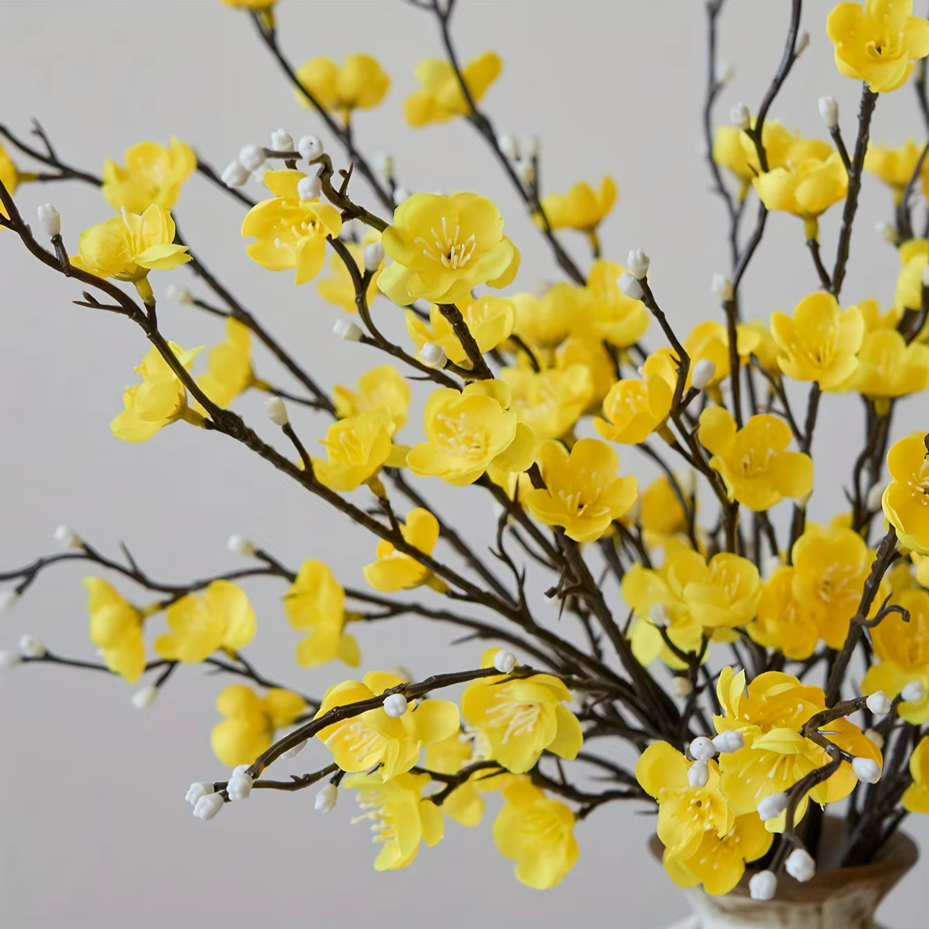 5 fleurs personnelles jaune fleur de prunier faux houx longue tige