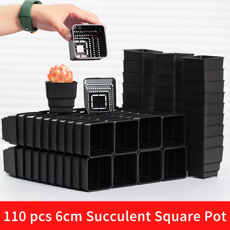 Meshpot-Pot carré pour plantes succulentes avec trous d'air