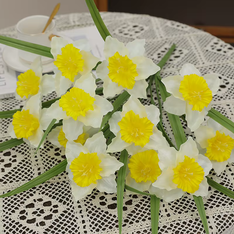 Plante de jonquille blanche