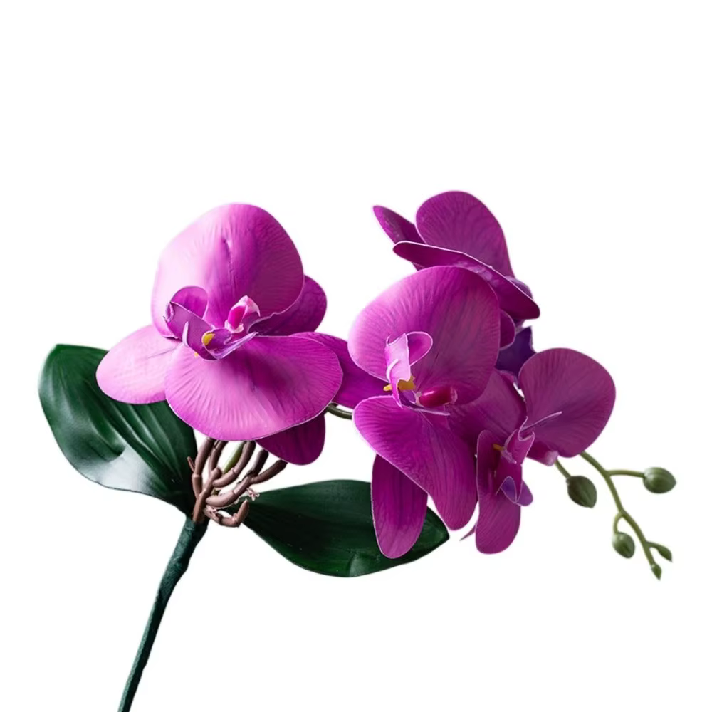 Orchidées Phalaenopsis artificielles réalistes en tissu