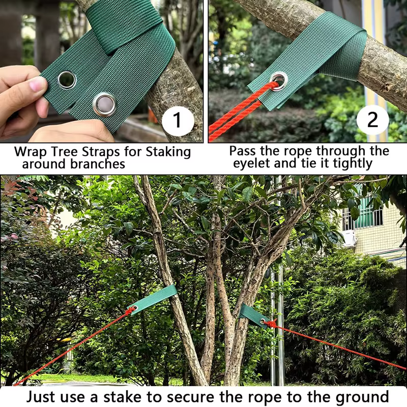 Sangles d'arbre pour piqûre