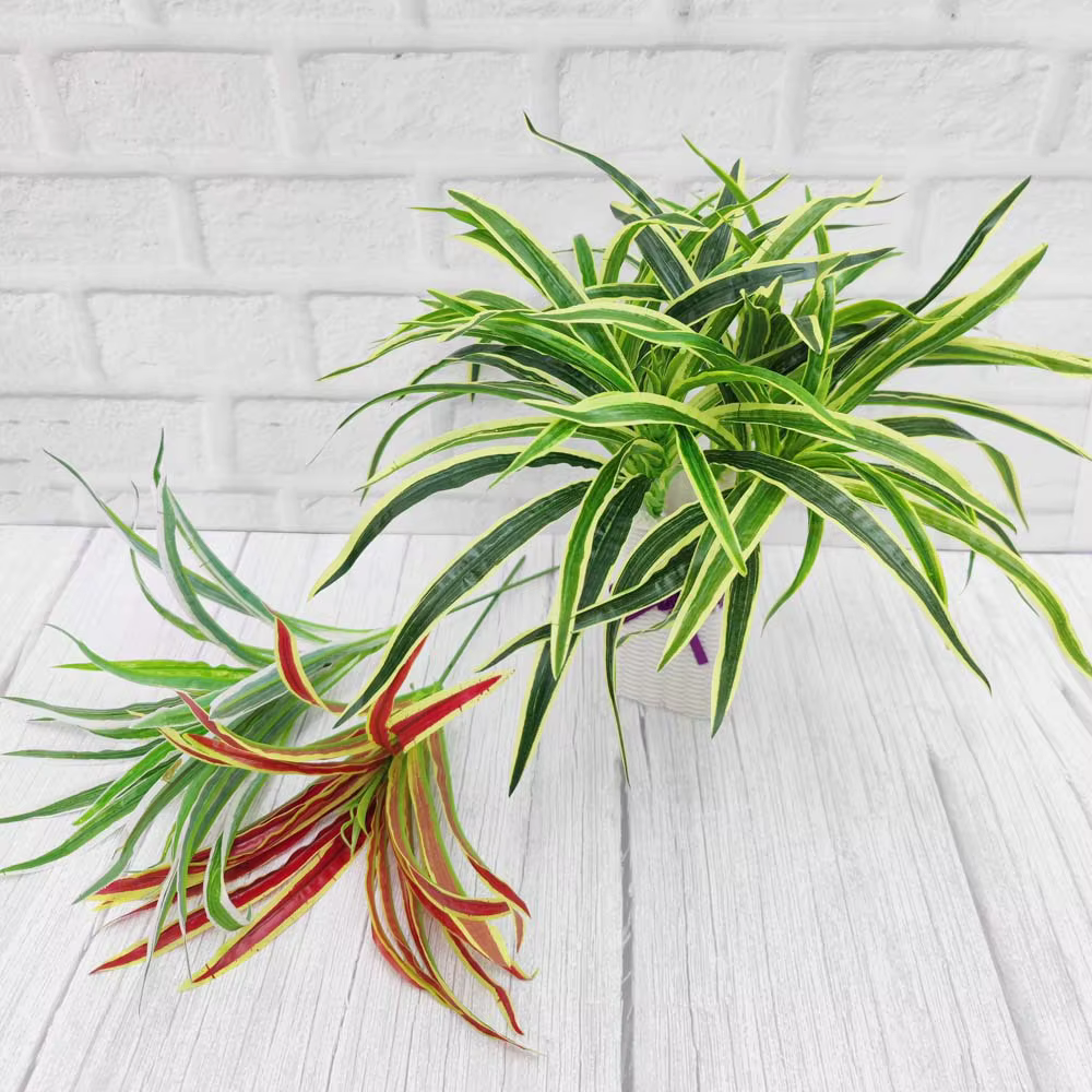 Plantes Artificielles en Plastique pour Décoration de Salon
