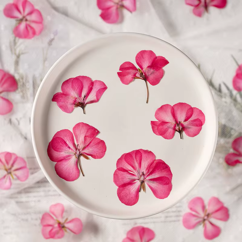 12 pièces, fleurs de géranium séchées et pressées