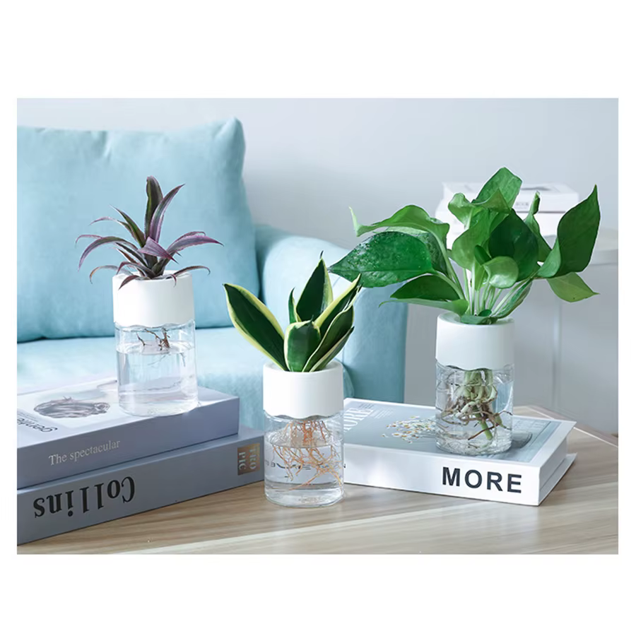 Kit de Pots hydroponiques pour pépinière