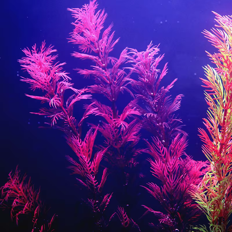 Plantes artificielles de décoration d'aquarium