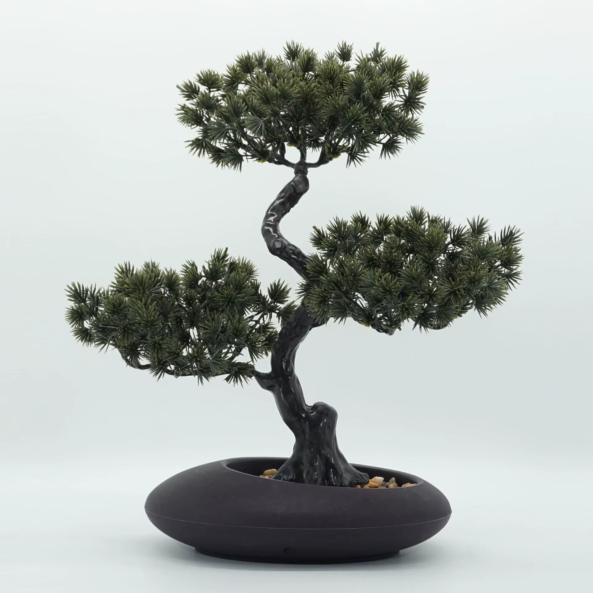 Simulation d'arbres de pin