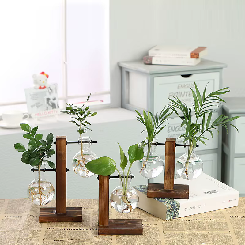 Vases de plantes hydroponiques de terrarium