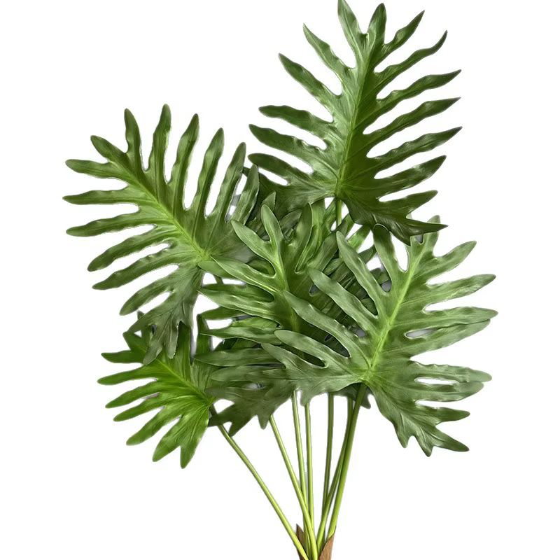 Plantes vertes simulées au toucher