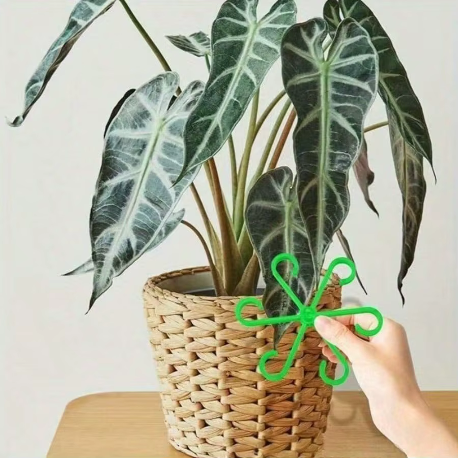 Cadre de Support Anti-vol pour plantes 4 pièces