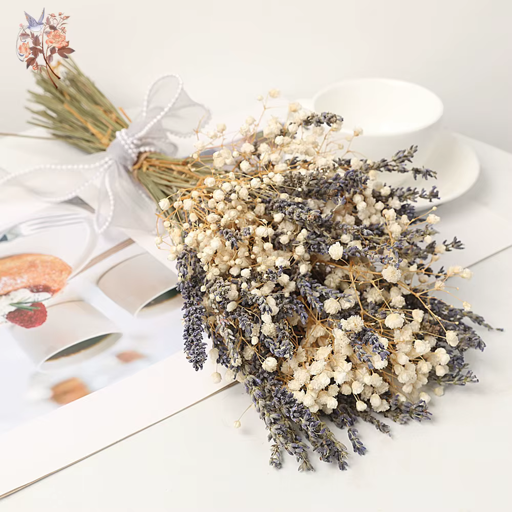 Bouquet de fleurs séchées de lavande
