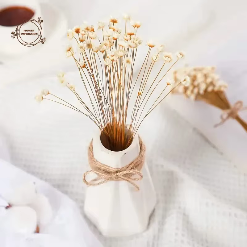 Petite étoile naturelle marguerite fleurs séchées décor de mariage