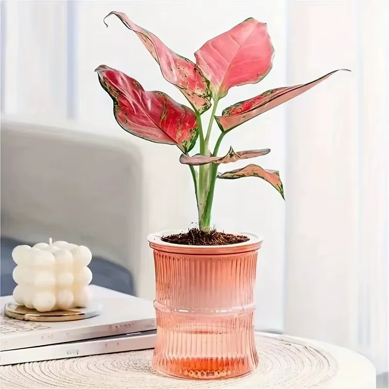 Pot de fleurs auto-arrosage automatique absorbant l'eau