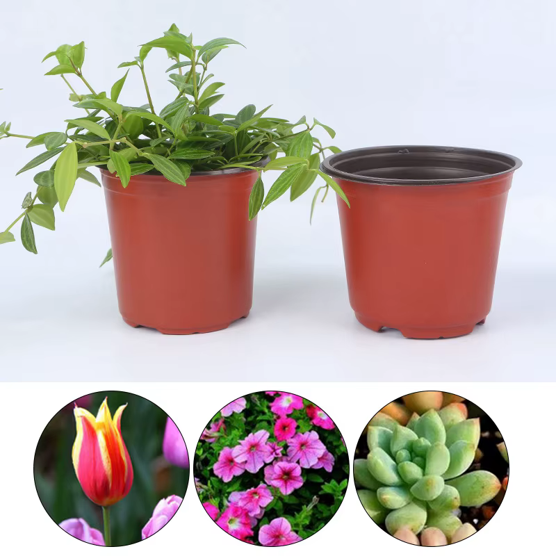 Pot de fleurs en plastique pour culture de plantes succulentes