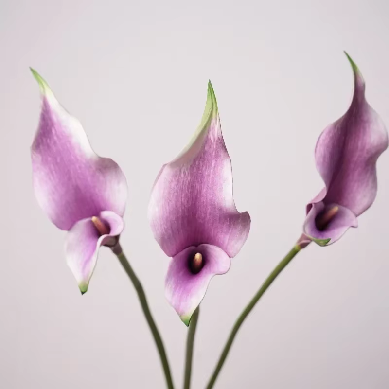 Fleurs artificielles de lys calla en PU