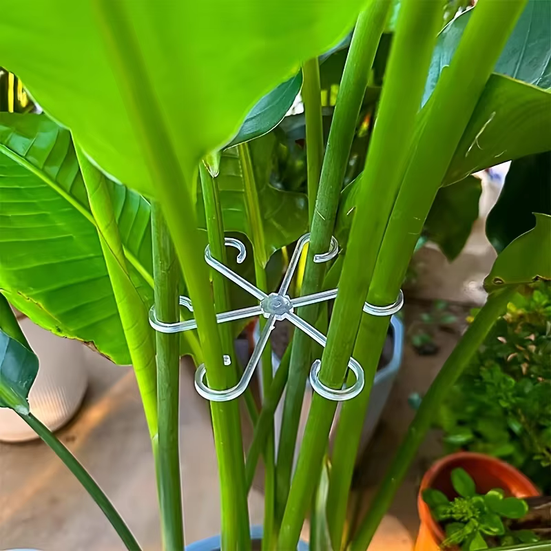 Clips de Support pour plantes grimpantes