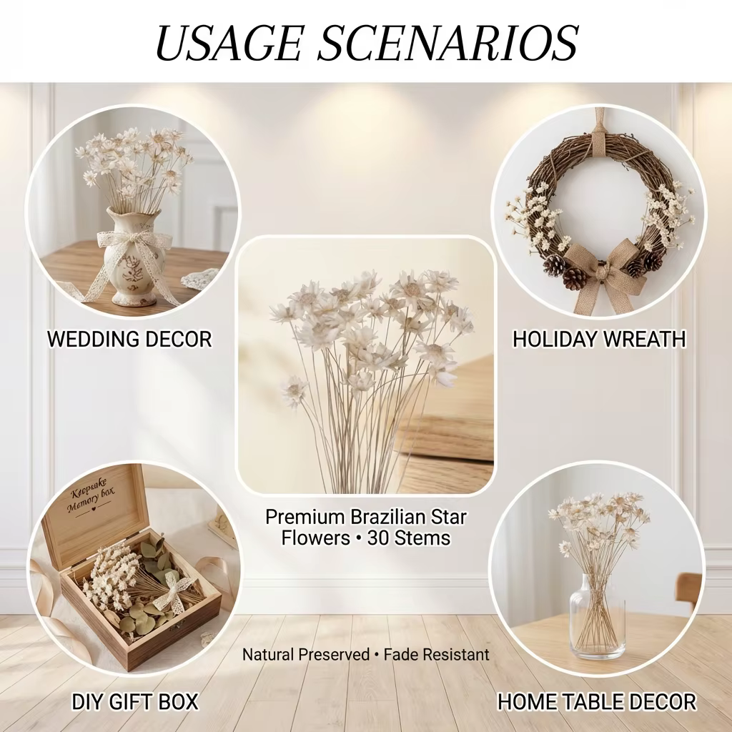 Mini bouquet de fleurs étoiles brésiliennes séchées