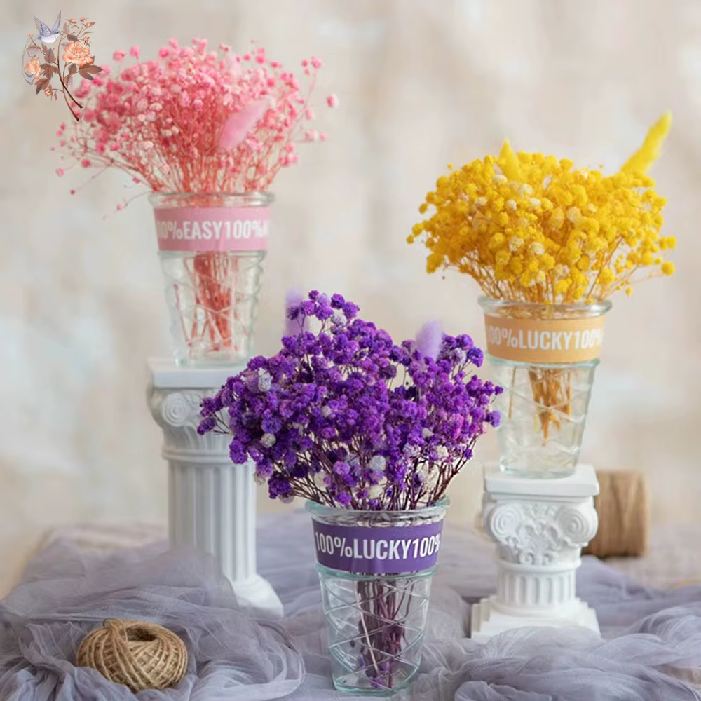 Lot de 5 fleurs éternelles de gypsophile séchées naturelles