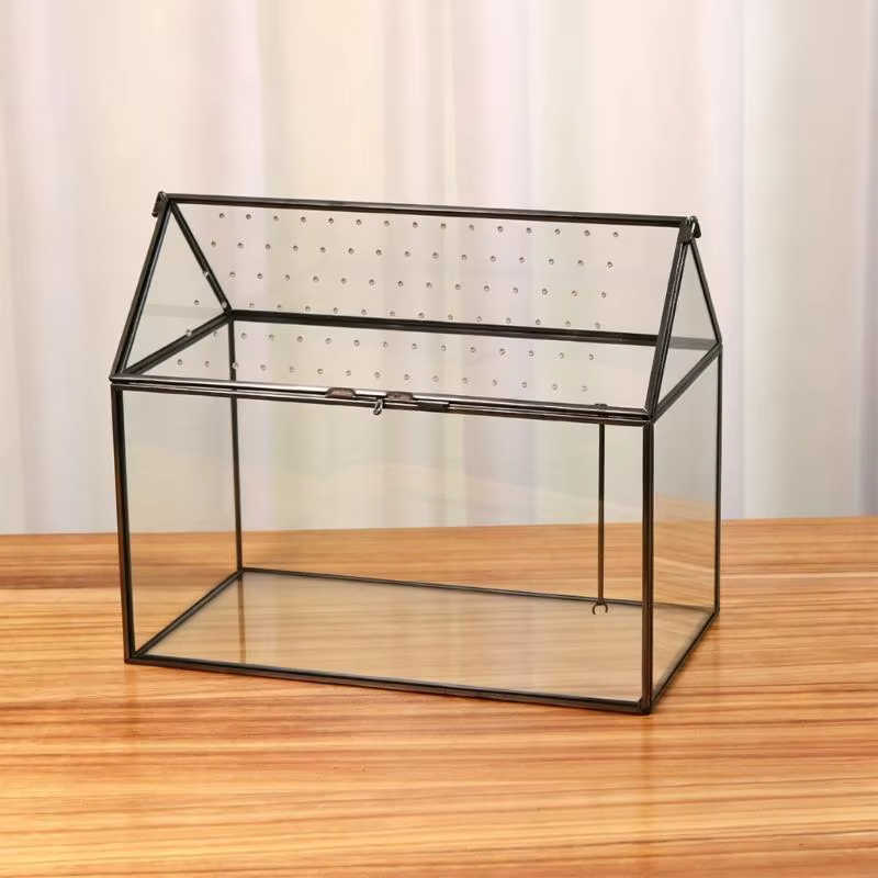 Boîte terrarium en verre pour exposition plantes