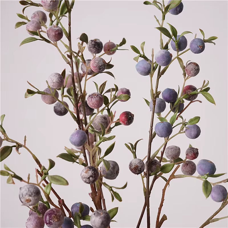 Ornements de fruits de jardinage