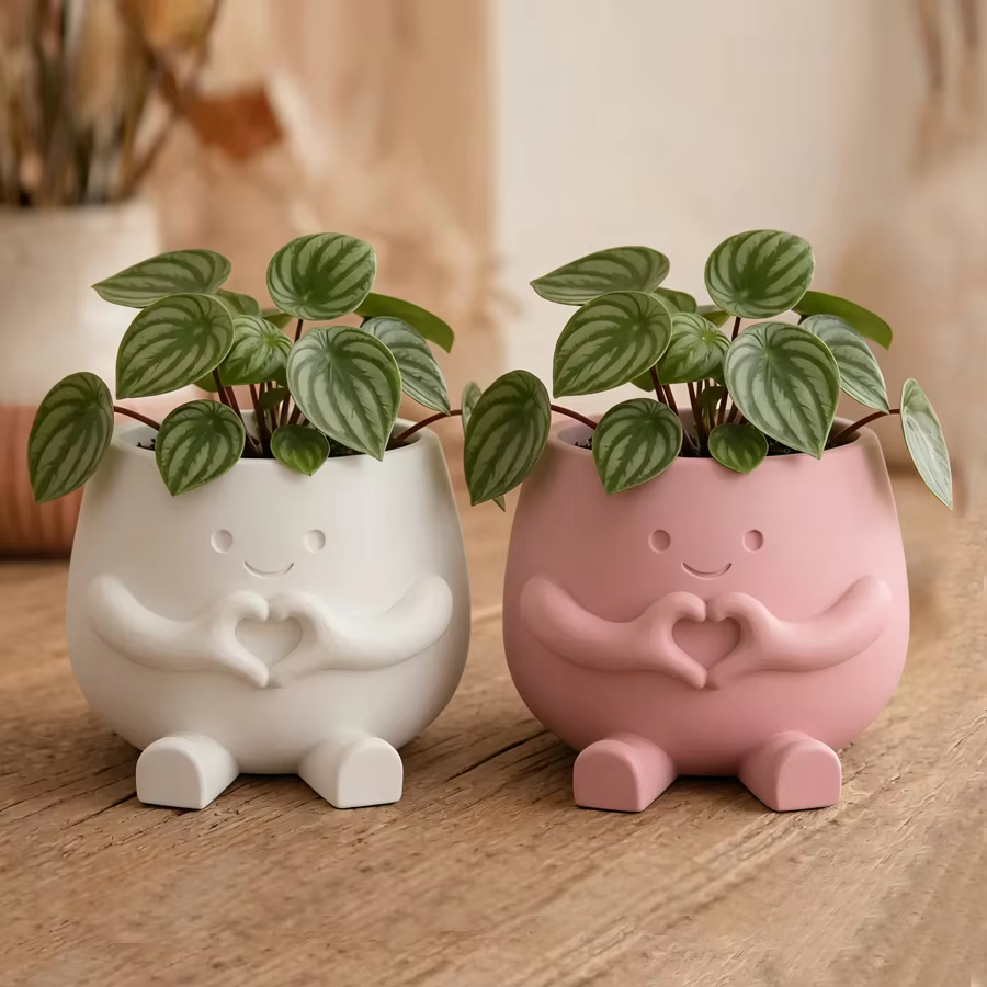 Pot de fleurs imprimé en 3D pour plantes grimpantes et succulentes – Jardinière légère en plastique – Décoration moderne pour la maison – Adapté intérieur/extérieur
