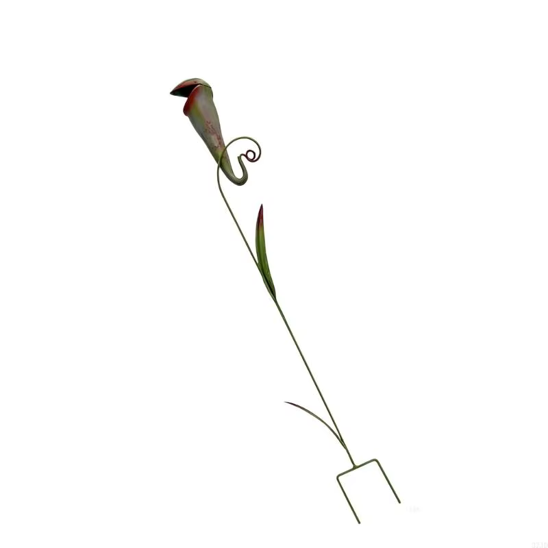 Pichet artistique en fer pour plantes