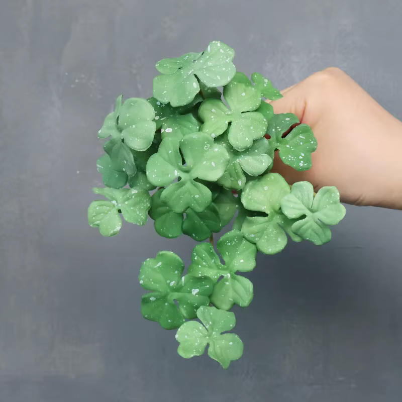 Plantes vertes succulentes artificielles