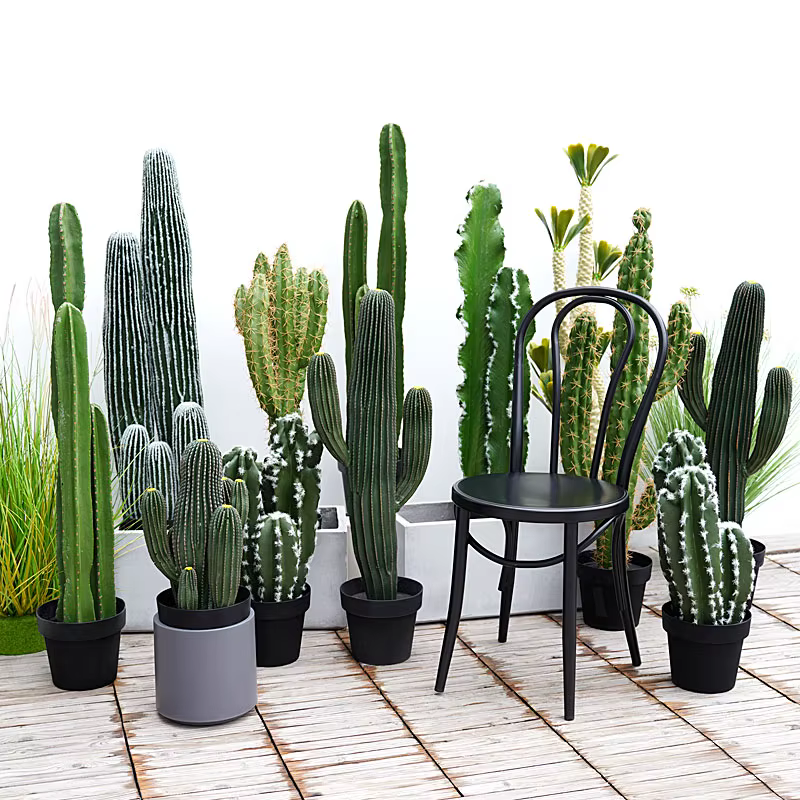 Plantes tropicales artificielles avec pot