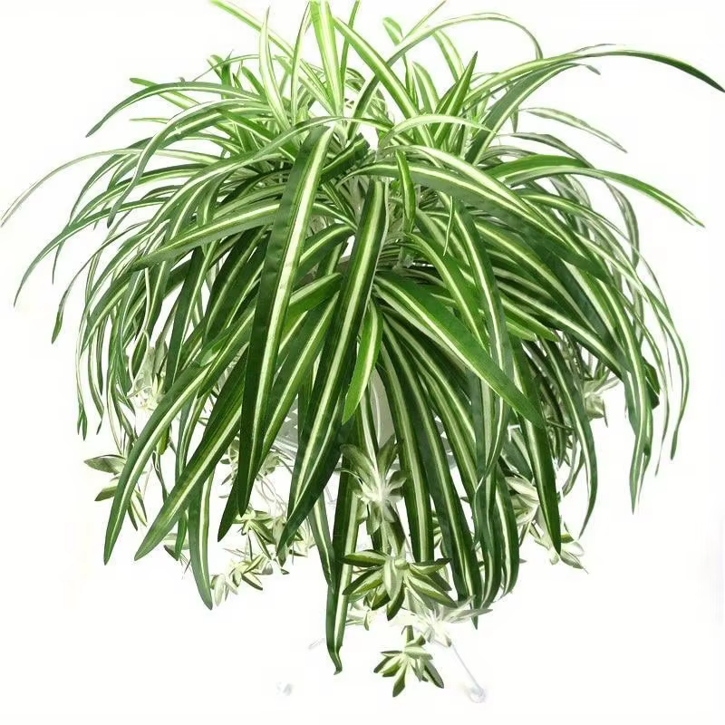 Plantes artificielles suspendues au mur