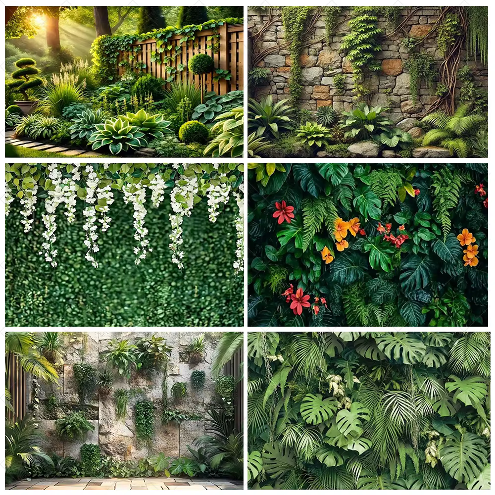 Plante tropicale herbe feuilles vertes photographie toile de fond Jungle feuille de palmier