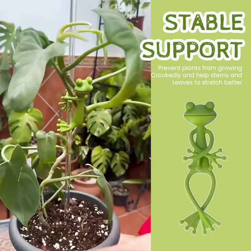 Support pour plantes grenouille