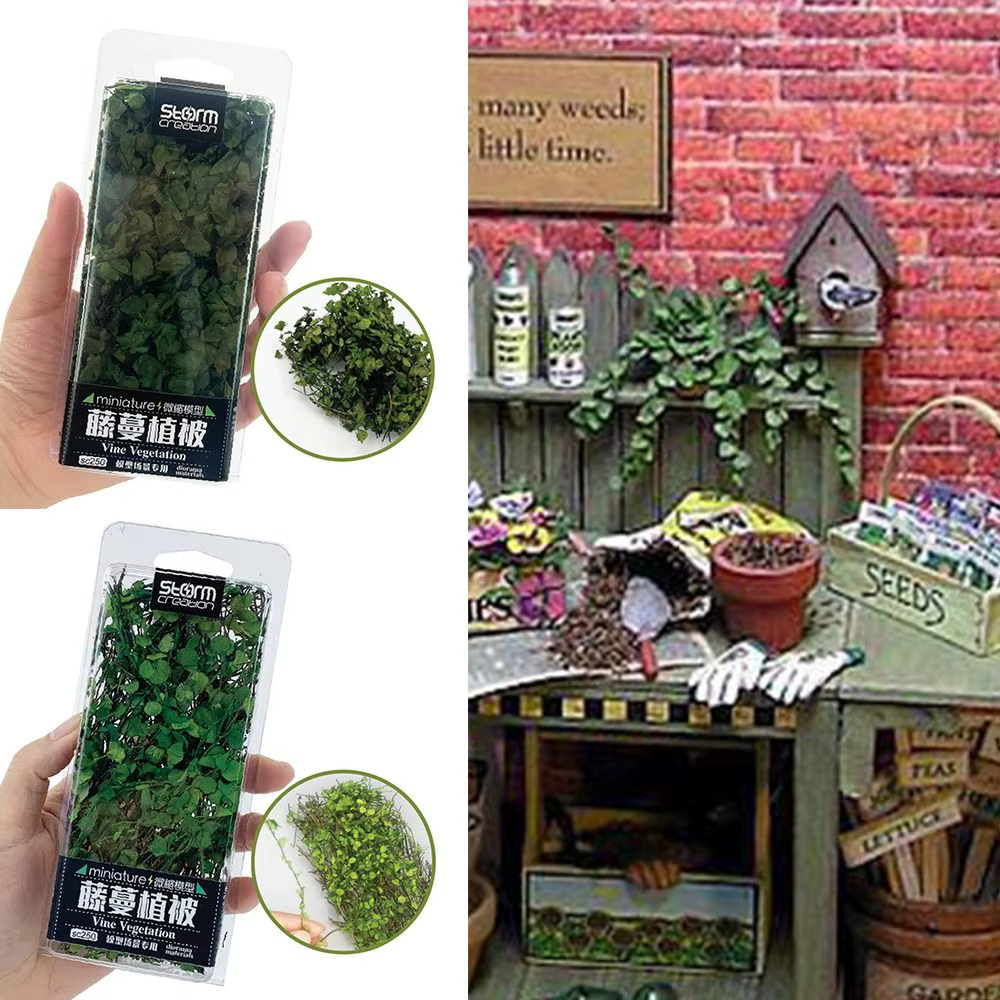 Boîte de plantes miniatures de type Creepers
