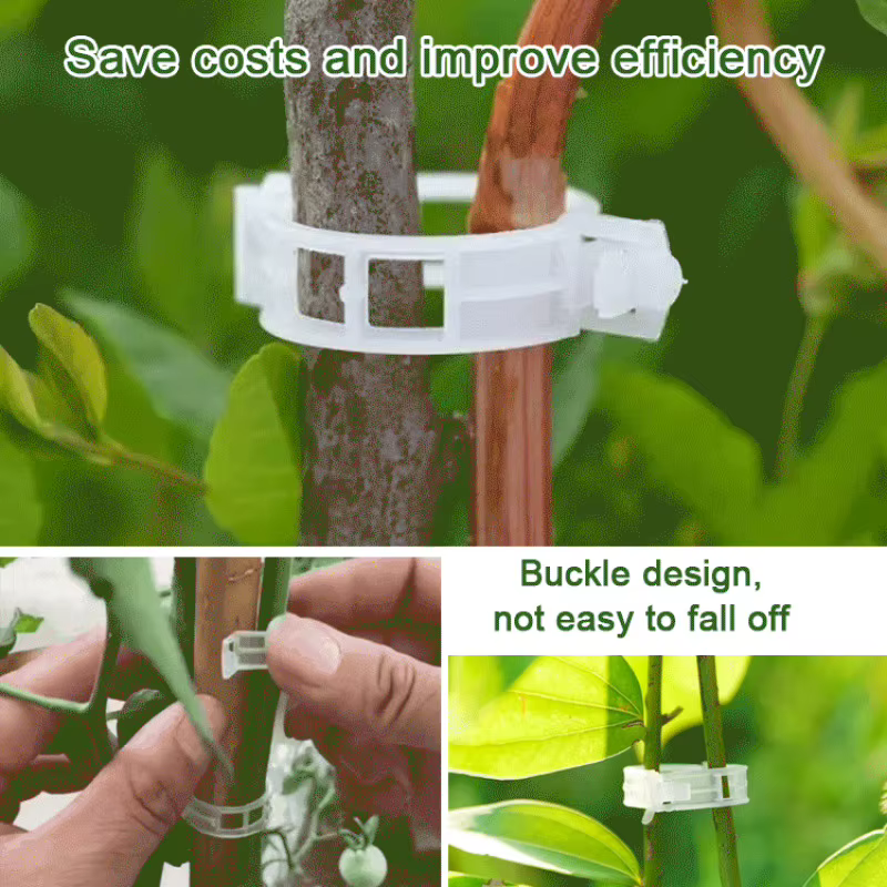 Attaches de fixation pour plantes suspendues
