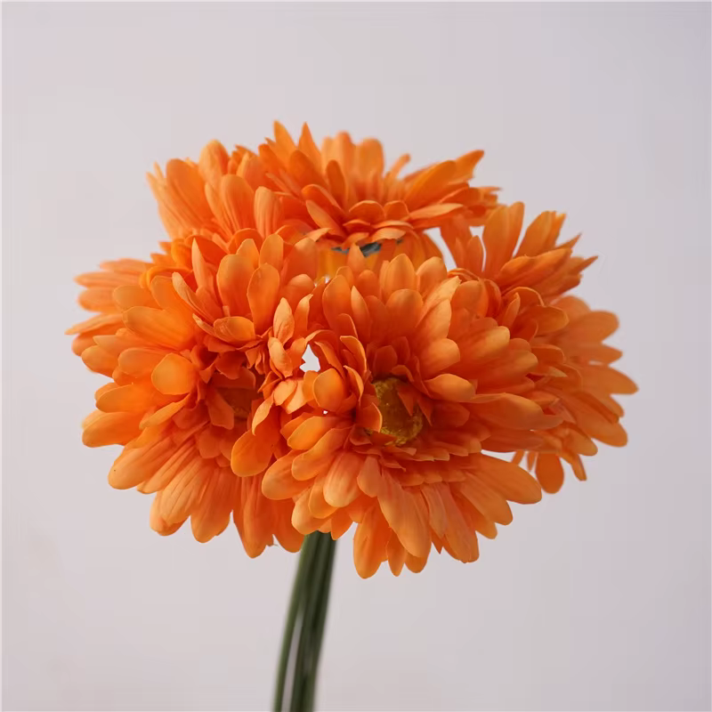 Bouquet de marguerites artificielles en Latex