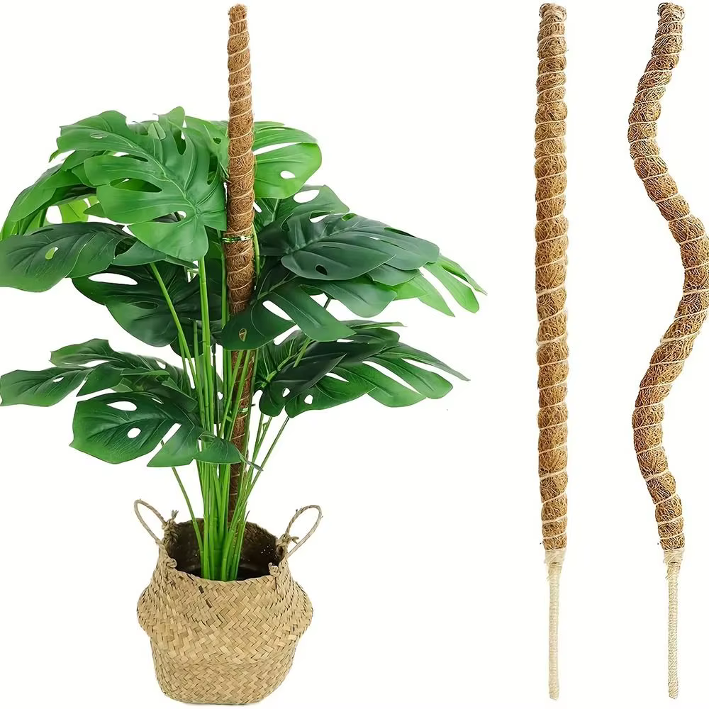 Canne à palmier pliable pour plantes grimpantes