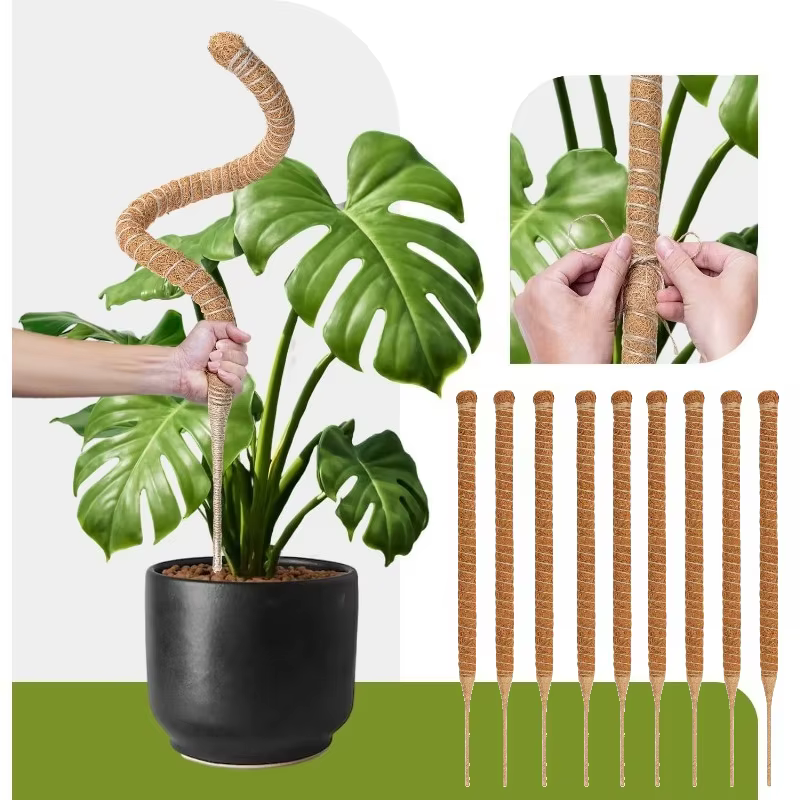 Poteau de mousse pliable pour plantes, Fiber de palmier de noix de coco, Support de plantes Monstera, fait à la main, escalade de Coco, accessoires de jardin DIY