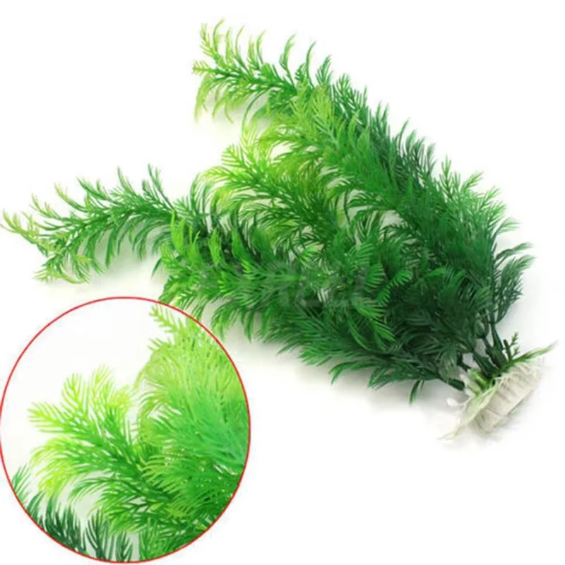 Plante de simulation d'aquarium